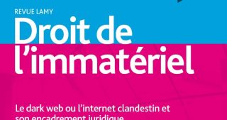 DarkWeb & DarkNet - encadrement juridique de l'internet clandestin