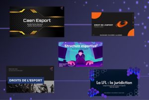 Formation Gaming Campus – Droit de l&rsquo;Esport, les contrats de joueurs et la gestion des Leagues