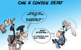 RGPD et CNIL - Collecte et Traitement de données personnelles - Voies de recours et Conseil d'Etat